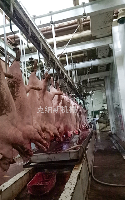 甘南州猪屠宰设备市场报价